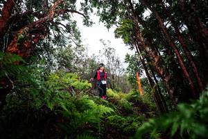 BIB: 
                            <button type="button" onclick="openModal(26203299)" class="btn btn-primary btn-sm float-right btn-popup" data-toggle="modal" data-target=".modal-high-quality">
                        <i class="fas fa-shopping-cart"></i> Add to Cart
                    </button>
                                            <button type="button" onclick="isThisMe(26203299, true)" class="btn btn-success btn-sm float-right btn-popup btn-isme hidden" data-toggle="tooltip" data-placement="bottom" title="นี่คือรูปของคุณใช่ไหม คลิกที่นี่เพื่อเอาเข้าอัลบั้ม">
                        <i class="fas fa-plus"></i> Add to album
                    </button>
                    <button type="button" onclick="isThisMe(26203299, false)" class="btn btn-warning btn-sm float-right btn-popup btn-isnotme hidden">
                        <i class="fas fa-ban"></i> Remove from album
                    </button>